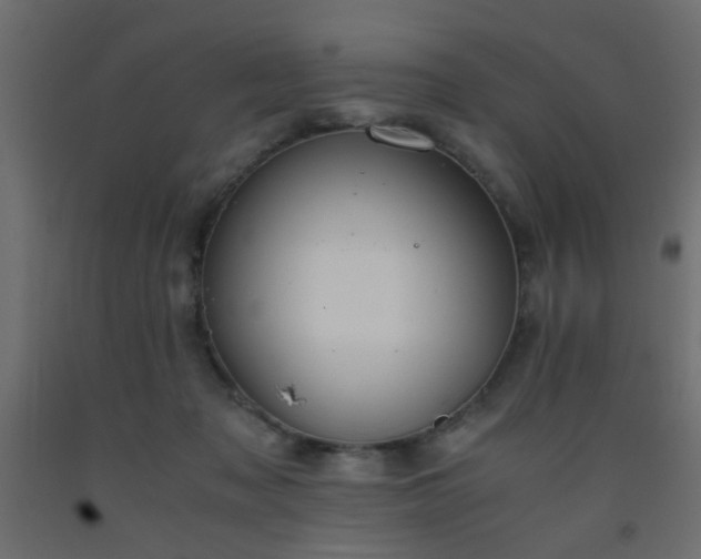 X0000093570317200710151132