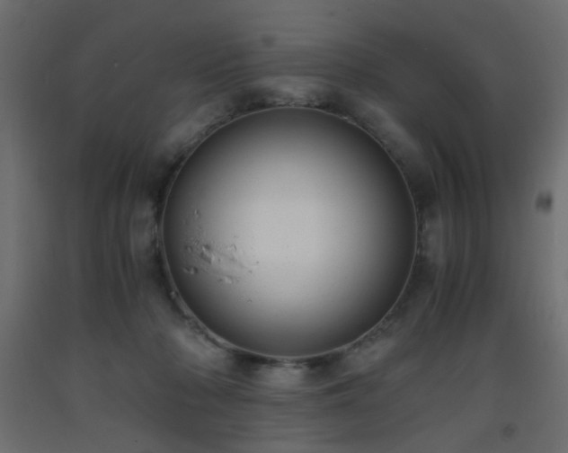 X0000093570318200710151132