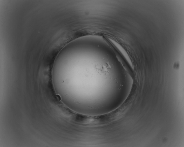 X0000093570319200710151132