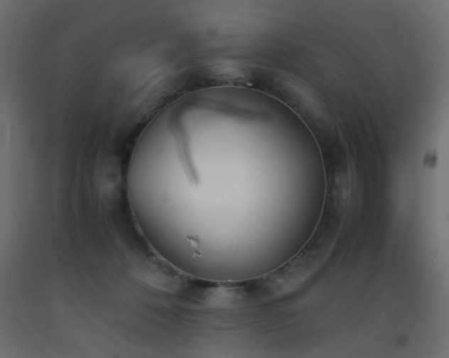 X0000093570320200710151132