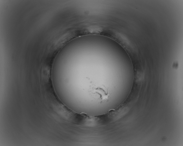 X0000093570321200710151132