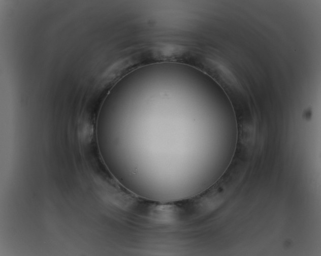 X0000093570324200710151132
