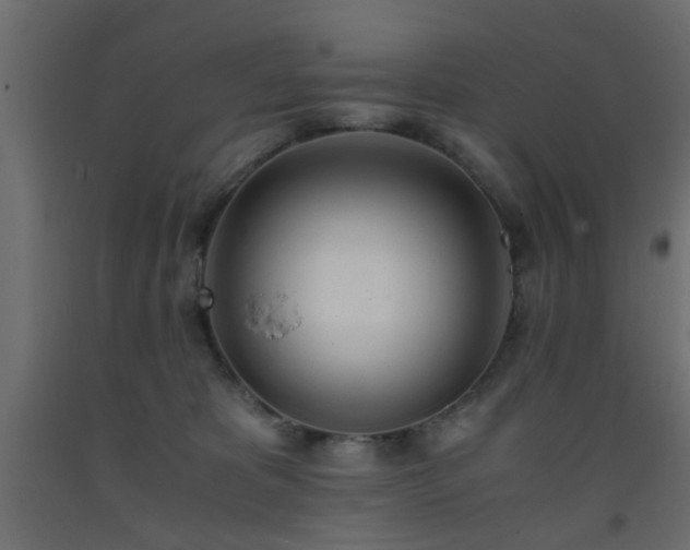 X0000093570325200710151132