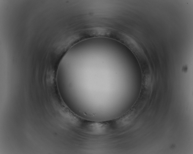 X0000093570326200710151132