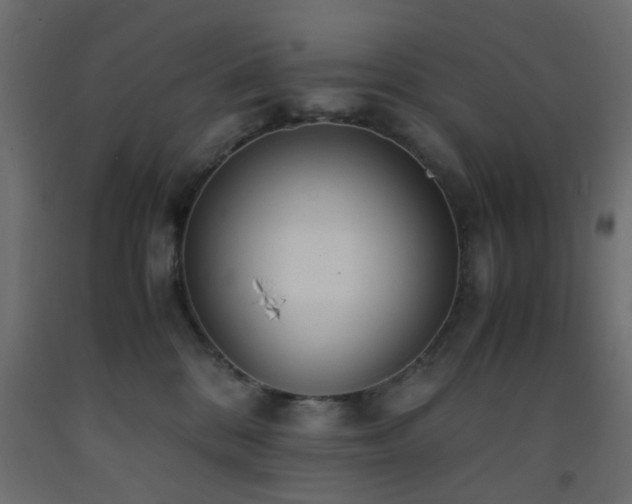 X0000093570328200710151132