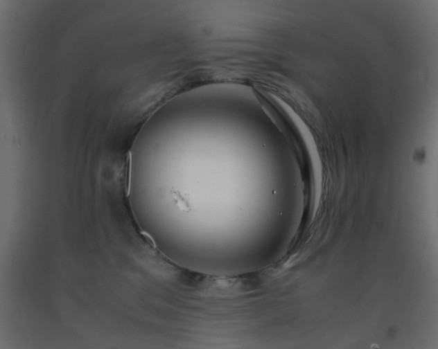 X0000093570329200710151132