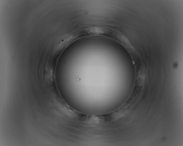 X0000093570330200710151132