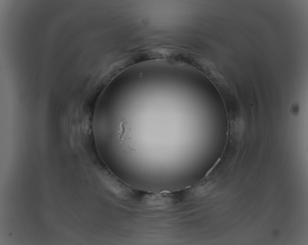 X0000093570331200710151132