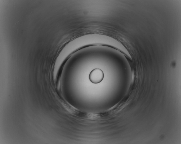 X0000093570333200710151132
