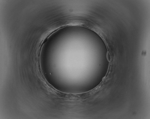 X0000093570337200710151132