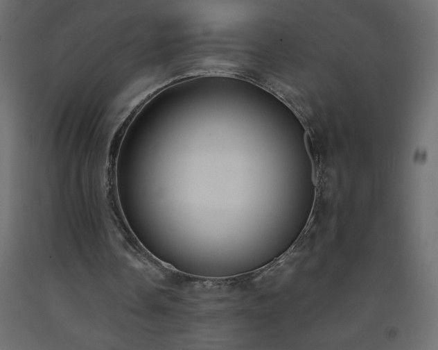 X0000093570338200710151132