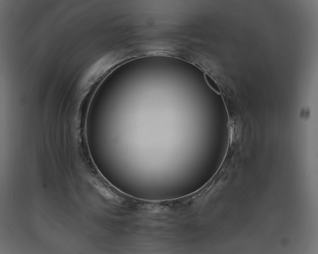 X0000093570339200710151132