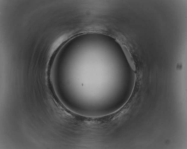 X0000093570340200710151132