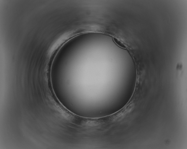 X0000093570341200710151132