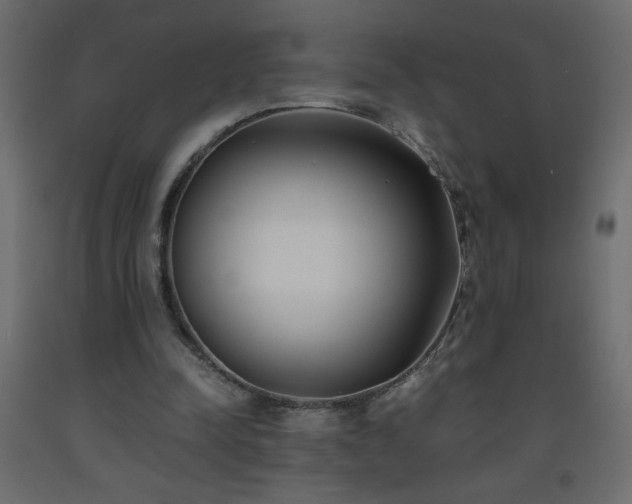 X0000093570342200710151132
