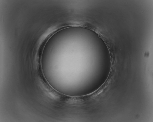 X0000093570343200710151132