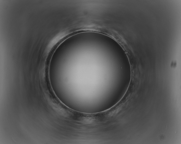 X0000093570344200710151132