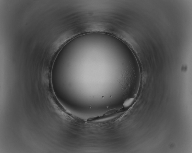 X0000093570345200710151132