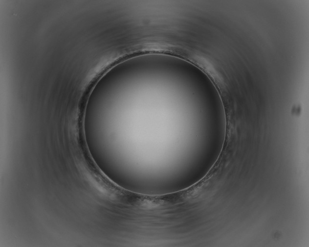 X0000093570346200710151132