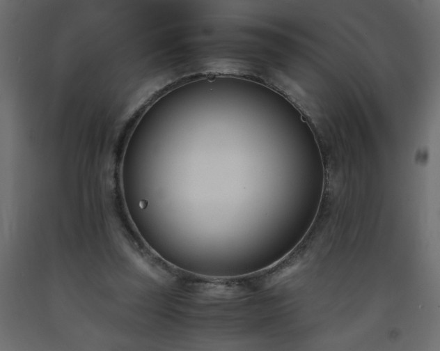 X0000093570347200710151132