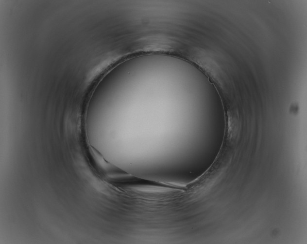 X0000093570348200710151132