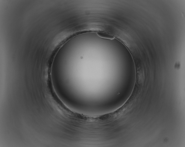 X0000093570350200710151132