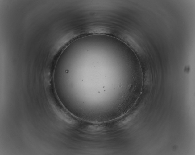 X0000093570351200710151132