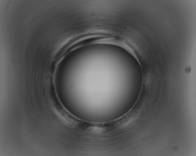 X0000093570352200710151132