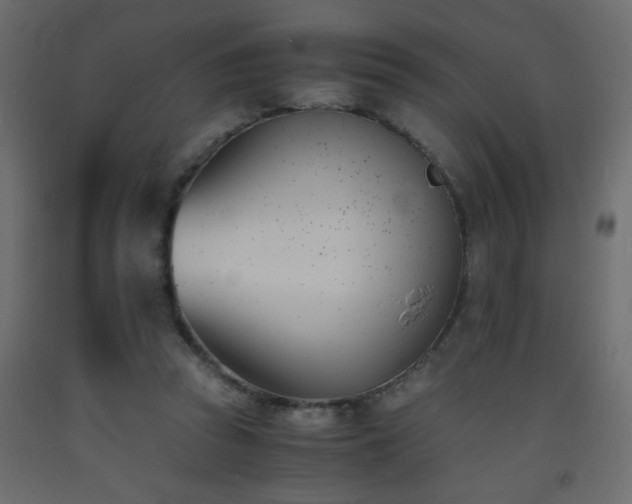 X0000093570353200710151132