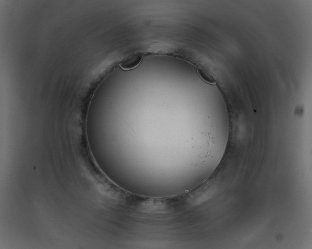 X0000093570354200710151132