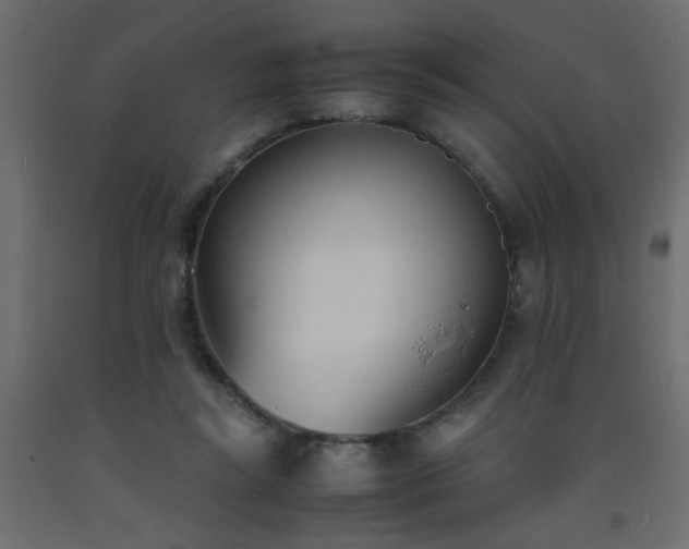 X0000093570355200710151132