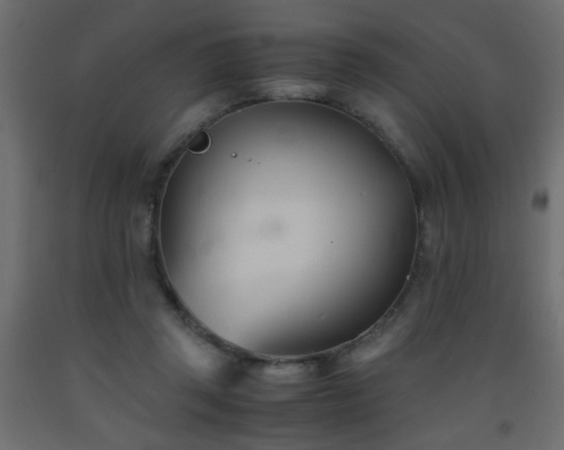 X0000093570357200710151132