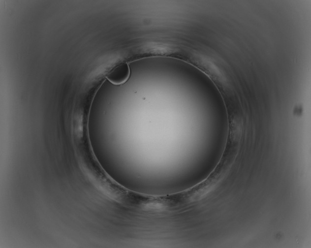 X0000093570358200710151132