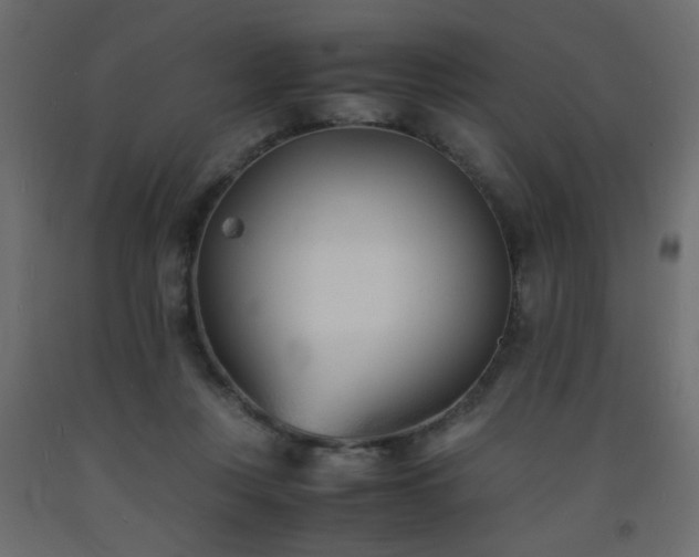 X0000093570359200710151132