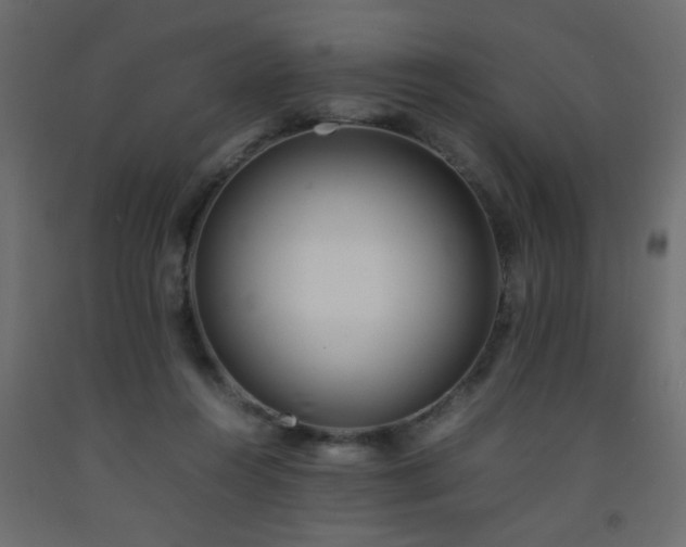 X0000093570360200710151132