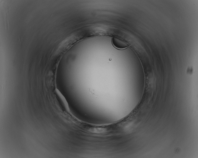 X0000093570361200710151132