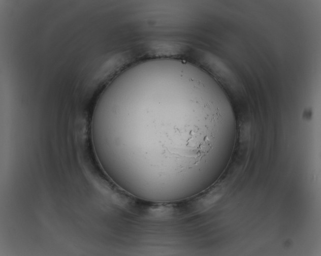 X0000093570362200710151132