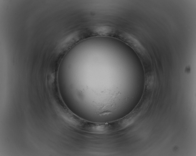 X0000093570365200710151132