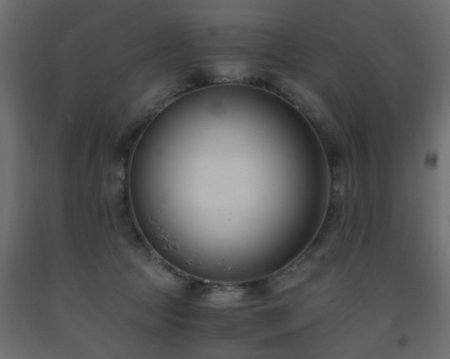 X0000093570369200710151132