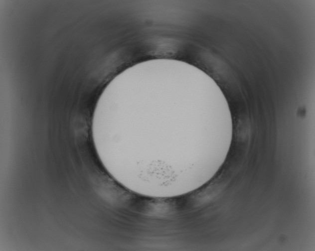 X0000093570370200710151132