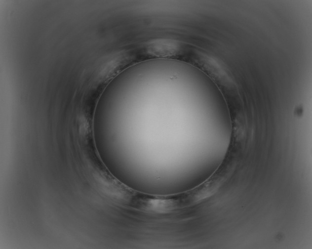 X0000093570371200710151132