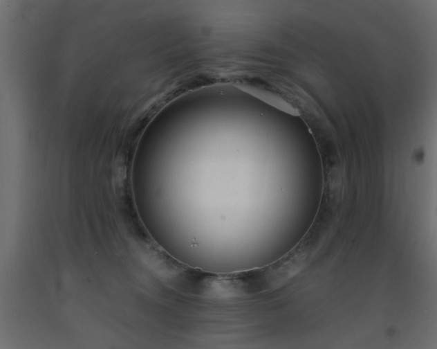 X0000093570372200710151132