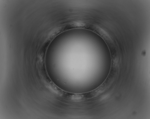 X0000093570373200710151132