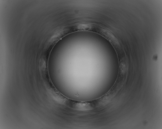 X0000093570375200710151132