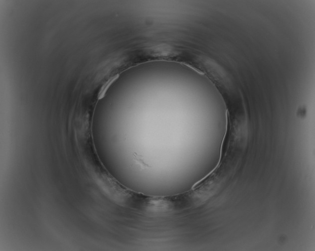 X0000093570376200710151132