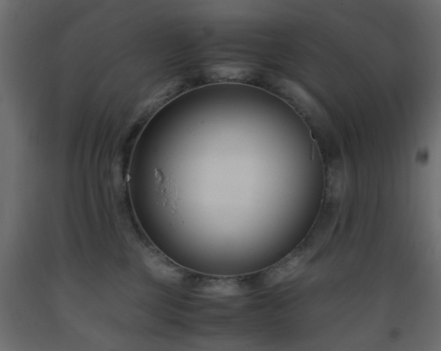 X0000093570377200710151132