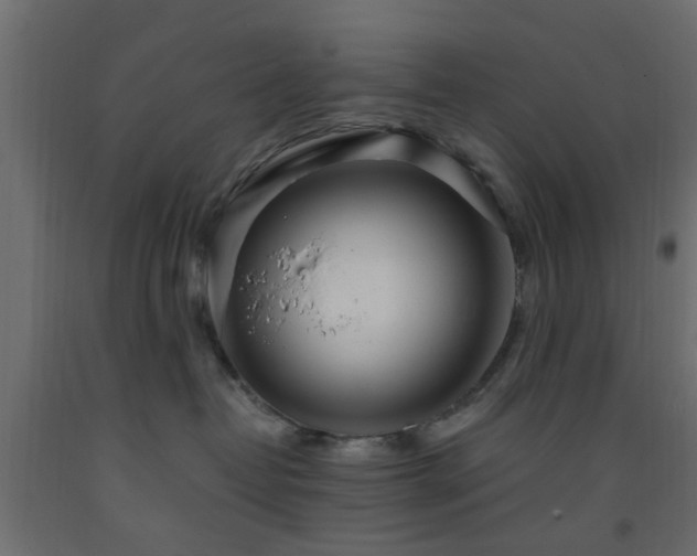 X0000093570382200710151132