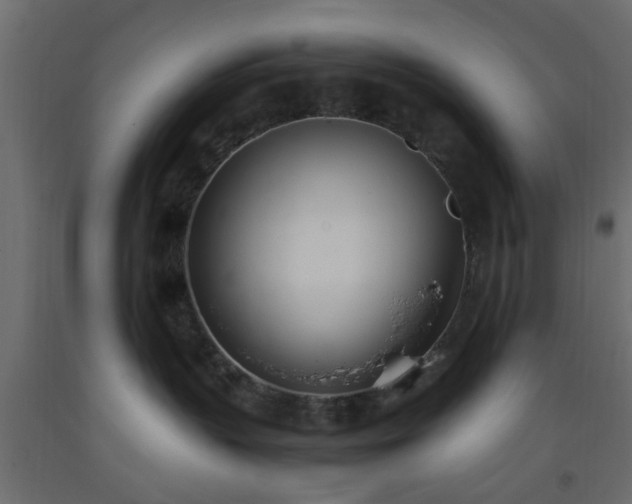 X0000093570383200710151132