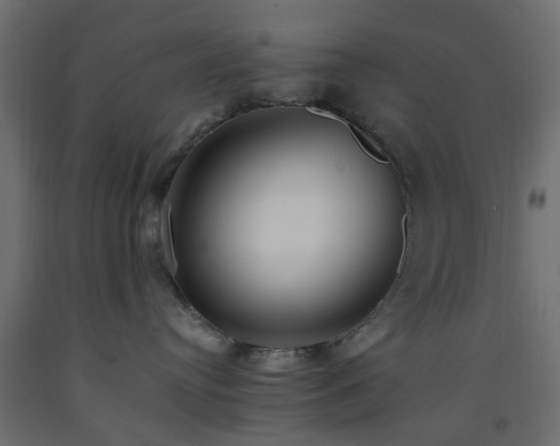 X0000093570384200710151132
