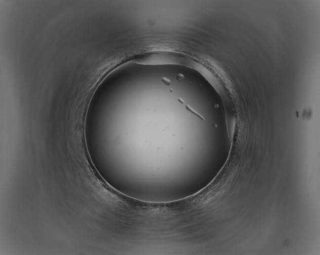 X0000093570385200710151132